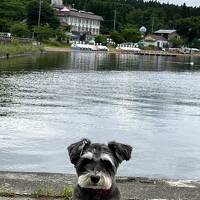 親孝行・犬孝行の旅～仙台・福島編～