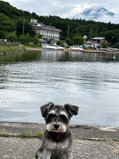 親孝行・犬孝行の旅～仙台・福島編～