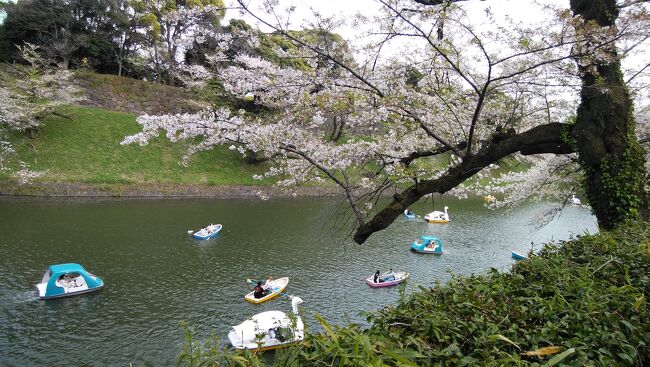 地下鉄九段下駅で下車,地上に出ると,直ぐ昭和館が見え左手に田安門とお堀となり桜吹雪に見舞われる。お堀には小さいながらも花筏が浮かんでいた。当日は桜は少し遅いかなと思って出かけたが，最高の時期だった。靖国神社の大鳥居が見え,そこの庭園に東京の桜の開花標準木がありそこの桜も満開だろう。大通りから外れお堀に沿って歩くと右手に立派なインド大使館だ。当日は平日で桜も見頃が過ぎたと思ってか人も多すぎず道も一方通行になってい。お堀では若いカップルがボートに乗り青春を謳歌していて,絵になる光景だ。ボート乗り場で一休みし,Uターン｡九段下から地下鉄で三越前まで。コレド室町の4階にある、ざくろ室町店でランチタイム。食後三越本店で色々とお買い物をしてお開きとした。