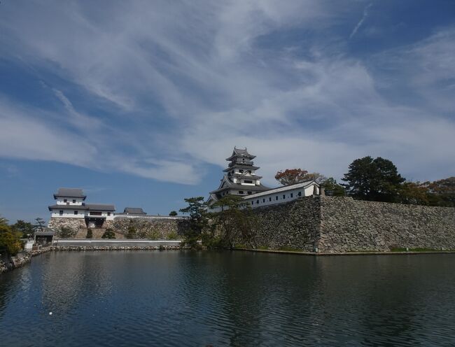 そんなに詳しくはありませんが、シニア夫婦ともに歴史好きです。<br />特に私は城好きです。<br />今治城はぜひ訪れたかった城の一つです。<br /><br />この今治城だけでなく、宇和島城、篠山城、赤城城、津城、大洲城、伏見城、そして京都の二条城まで築城した藤堂高虎。<br />築城の名人と言われていました。<br />今回の旅行で、今治城以外に宇和島城や大洲城にも訪れます。<br /><br />この今治城は、瀬戸内海を巧みに利用した浮城です。<br />吹揚げの浜という砂丘地帯にこの城は築城されました。<br /><br />藤堂高虎は伊勢に移り、その後1635年に松平が城主となり、海側の曲輪の大改修を行い、今治城の最終形が出来上がりました。<br />櫓は19ありましたが、12の櫓が海を向いていました。<br />三重の堀があり、堀には海水を引き込んでいます。<br />今は内堀しか残っていませんが、ココにも海水が引き込まれています。<br />中堀とド戸堀は舟入につながっており、これが今治港の原型になっています。<br />舟入は100m四方の大きさがあり、城内の舟入としては日本最大でした。<br /><br /><br />明治維新後に廃城となり壊されていますが、石垣と内堀がほぼ江戸時代の姿を残しています。<br />内堀の外側にはかつては中堀、外堀があり、外堀には舟入があった日本屈指の海城でした。<br />その舟入が今の今治港の一部です。<br />昭和以降に、天守閣、東隅櫓、山里櫓、黒鉄御門が再建されています。<br /><br />なかなか面白かったです。