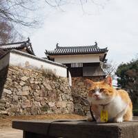 青春１８きっぷの旅 ２０２４年春 ［１］岡山のお城登城と働くねこに会いに「備中松山城」へ
