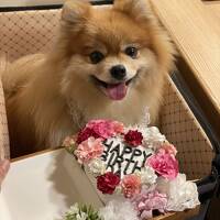 静岡/和のリゾートでHappy Birthday@レジーナリゾート伊豆無鄰（2024年4月）