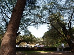 ゴールデンウィークに弘前城と函館五稜郭の桜を見に行ってきた