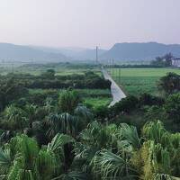 ○o。.最高に楽しかった♪バスで行くやんばる沖縄ひとり旅vol.1（移動編）2024初夏.。o○