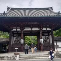 琵琶湖に注目！　その①　紫式部ゆかりの寺を歩く『石山寺と三井寺』