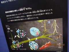孫連れ科学館　特別展海