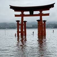 憧れのクイーンエリザベス乗船　広島編