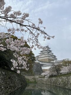青春18きっぷの旅～日帰り姫路～穴子尽くしのランチと桜の姫路城を堪能しました