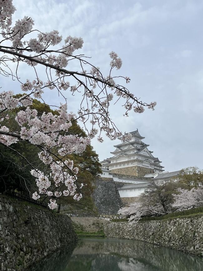 2024年春の青春18きっぷを使っての日帰り旅。<br />どこへ行くか迷って、最後の1回分は久々に姫路を訪れることにしました。<br /><br />プライベートで姫路へ行くのは約10年ぶり。<br />姫路城の桜と姫路の食を楽しみに行ってきました。<br /><br />
