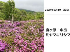 ミヤマキリシマを愛でる 鹿ヶ原・中岳 2024.5.19/20