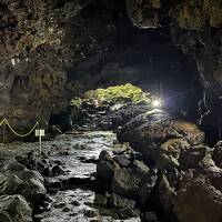 三嶋大社、沼津港にし与に立ち寄り、御殿場時之栖に宿泊して富士山を愛でるサ活旅
