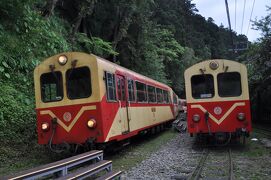 2024年5月台湾鉄道旅行5（阿里山鉄道後篇）