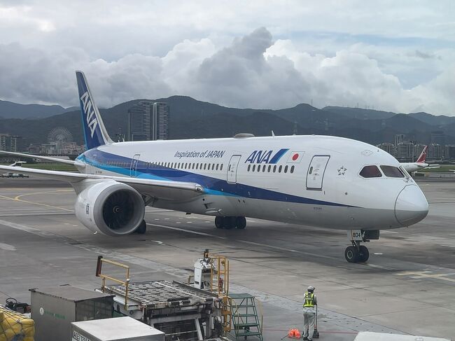 　2024年5月17日から19日にかけて台湾へ行ってきました。<br />　2024年1月に全線開業した高雄ライトレールに乗るのが第一目的です。<br />　台湾へはANAの特典航空券を使って、富山－羽田－台北松山の往復航空券を確保しました。使用マイルは17,000マイル＋燃油サーチャージ等で30,000円以上かかりました。<br />　南港駅から台北松山空港へ向かい、ANA便で帰途につきます。<br />　しかし、予期せぬ事情により当初の予定通りとはいきませんでした。<br />　