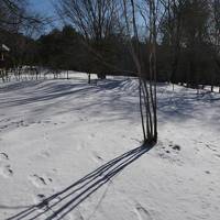 冬の軽井沢バカンス♪　Vol.151 ☆ザ・ひらまつ・軽井沢御代田：ドッグヴィラ　雪のドッグラン♪