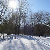 冬の軽井沢バカンス♪　Vol.153 ☆ザ・ひらまつ・軽井沢御代田：ドッグヴィラ　雪のドッグラン♪