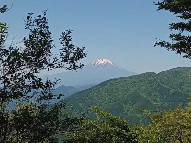 5月の絶好の晴天日の土曜日、運動には最高のコンディションなので、この時期に登山可能な神奈川県の大山を登りました。<br />標高1,251mのそれほど高くない山頂で上り約1時間のコースで、それほど厳しい登山とは予測していませんでしたが、今年初めての登山と年齢を重ねているため、上りは途中から息ゼイゼイ、下りは足指が痛くなったりなど結構しんどい登山でした。<br />絶好の晴天の下、上りの途中で富士山が綺麗に見えたり、ケーブルカー駅傍や山頂など至る所に神社が存在していたりと、素晴らしい光景が見られました。下りは上りと違う迂回コースを歩きましたが、ここでも神社や滝が見られて素晴らしいルートでした。予想以上に体力消耗した分、素晴らしい光景が色々見られたので、とてつもない達成感、余韻に浸ることができました。登山後の温泉は疲れた分、とても気持ちが良かったです。<br /><br />---------------------------------------------------------------<br />スケジュール<br /><br />★5月18日　自宅－（自家用車）大山駐車場－（徒歩）大山ケーブル駅－<br />　　　　　（ケーブルカー）阿夫利神社駅－（登山）富士見台－大山山頂<br />　　　　　　－見晴台－二重の滝－阿夫利神社駅－大山寺－大山ケーブル駅<br />　　　　　　－大山駐車場－（自家用車）鶴巻温泉入浴－自宅
