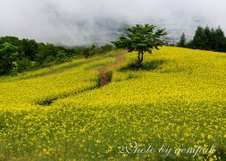 高原の遅い春とダムの真下の秘湯温泉