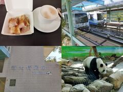 【2024台湾5】パンダが見られる台北動物園に行ってみる！