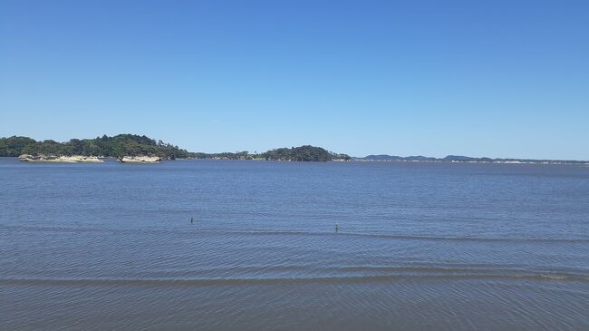 ご覧戴きましてありがとうございます。<br /> 2024年5月25日は東京都区内を起点に日帰り?で宮城県の塩釜・松島へ行ってきました。<br /> 前編・後編の2部構成での公開を予定していて、前編では①仙台市内でランチを頂いた時の様子、②塩釜市内にある北浜緑地公園を散策した時の様子等をご覧戴きました。<br /> 今回の後編では松島海浜公園・松島グリーン広場等主に松島エリアを散策した時の様子を中心に紹介させて頂きます。