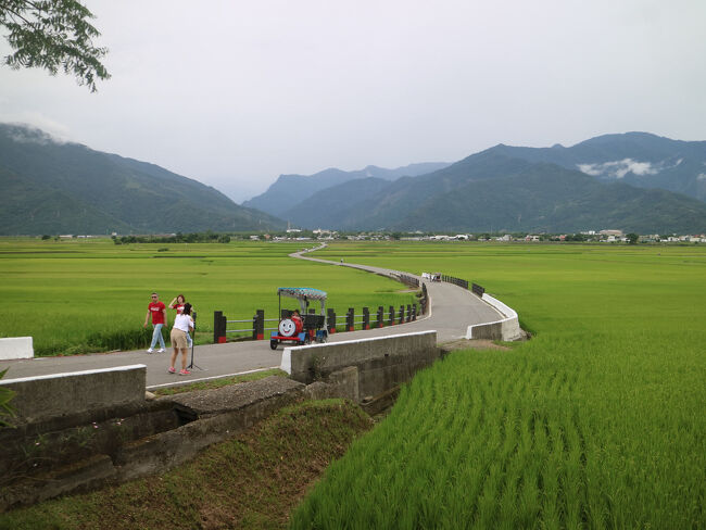 本日は池上から新北・板橋への移動日。<br />昼過ぎの移動なので，午前中は再度サイクリングへ。<br />見晴らし台に上り，湿度の高い風を感じる。