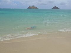 約5年ぶり!!!11歳と6歳子連れハワイ旅②～2日目カイルア～