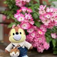 後輩連れて博多行って来た。２日目：海の中道海浜公園篇