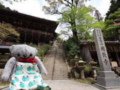 京都 & 姫路2024(3) 書写山圓教寺の建築技法がすごかった