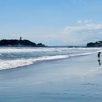 peach のセールで成田へ　そこから先は　・・・　で 東京近郊アラカルト ②　湘南の風に吹かれて