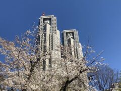 新宿散策へ　春の新宿