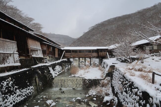 白濁の硫黄泉を求めて那須湯本温泉へ　雲海閣でひとっ風呂＆民宿松葉でまったり過ごす
