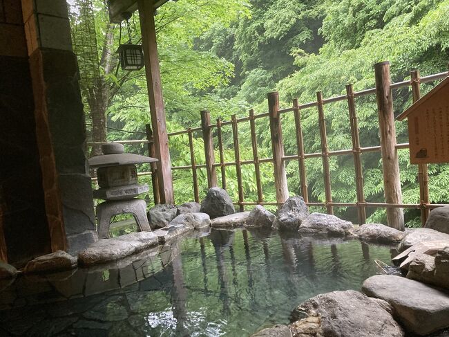 四万温泉にある大好きなお宿、湯元長静館。<br />今年になってから、1月と3月下旬と行っているが、また空きを見つけて行ってきた。<br /><br />鮎の時期に出してくれる鮎料理は、知る人ぞ知る長静館の名物の一つとなっていると思うのだが、今回は6月1日に宿泊ということもあって、まだ鮎料理には早かったかな?と思いつつ行ってみたら。<br /><br />鮎、出してくれた~!<br /><br />鮎の時期に鮎を出してくれるお宿は多いが、長静館の鮎料理は他とは全く違う。<br />今回も鮎料理を堪能できて、至福のひとときだった。
