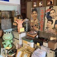 2度目のしまなみ海道サイクリング③インスタ映えの下灘駅から宇和島城まで＝2024年5月