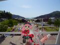 ワタシが英雄　仙台・石巻を探検するヨ！　女川～仙台編 #90