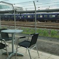 水曜チャンス！相鉄電車で訪ねる横浜のトレインビューカフェ【親子で東京往復記2024年5月編その１】