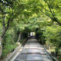 姉と行く3度目の旅、京都。フリータイムの多いツアーに参加してみました。