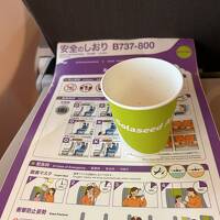 ソラシドエアーで九州温泉巡り旅