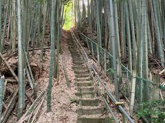 日光水戸駅伝単独走【番外編】26.4Km　馴柴→我孫子