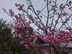 徳川美術館と名古屋のお土産　202303愛知⑤