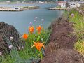 晴れおじさん「梅雨入り前に初夏の日本海」を見に行く