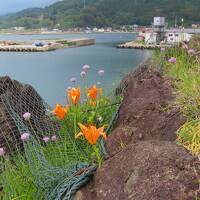 晴れおじさん「梅雨入り前に初夏の日本海」を見に行く