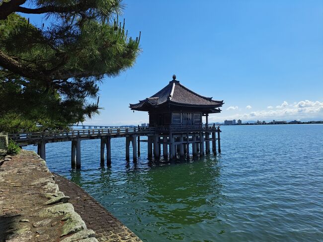 前日琵琶湖を楽しんだので、この日も琵琶湖を楽しもうと思います。<br />ネットで見た浮御堂と琵琶湖に浮かぶ白髭神社の鳥居を見ました。<br />京都に戻るのに琵琶湖一周しました。<br /><br />この日はお寺のライトアップを楽しみにしていました。<br />ところが・・・<br />やらかしちゃいました。<br /><br />そして最後にご報告があります!