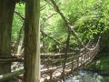 祖谷のかずら橋・二重かずら橋を見てからつるぎ町貞光へ・宿泊は塩江温泉の「新樺川観光ホテル」で