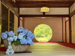 紫陽花を見に鎌倉のあじさい寺『明月院』へ
