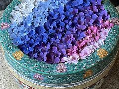 鶴岡八幡宮～一条恵観山荘へ紫陽花散策