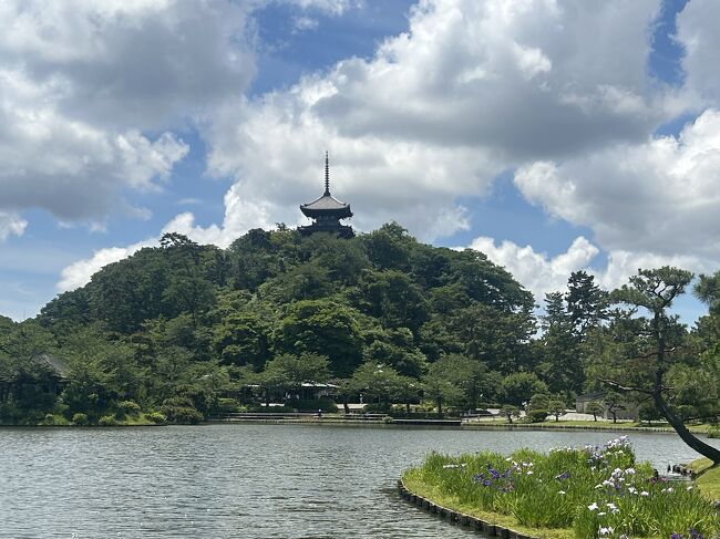 キャンペーンで横浜市営地下鉄・市営バス共通1日乗車券が300円になるという情報をくれた友人たちと、今度は市営バスで三渓園まで行くことにしました。<br /><br />桜木町で待ち合わせて、今日は8系統のバスで三渓園入口まで行きました。<br />横浜在住の私たちは三渓園にはそれぞれ何度となく来ているけれど、みんなバスで来るのは初めて!<br />おしゃべりしている間に三渓園に到着。<br />園内は大池の周りをぐるっと散策したのみ。あとは藤棚の下でおしゃべり・・<br /><br />バスの時間を見計らって三渓園を後にして、<br />中華街入口まで市バスで行き<br />【心龍】でランチ<br />中華街入口から本町4丁目までバスに乗り(普段だったら歩くけど・・)<br />馬車道の歴史的建造物を眺めつつ「ル・パルフェ 馬車道」まで行きましたが満席で入れず<br />本町4丁目バス停まで戻って横浜駅改札口前までバス。<br />ポルタの【フルーツピークス】でパフェをいただきました。<br />友人たちと別れて、市営地下鉄に乗って帰宅しました。<br />今日も価値ある1日乗り放題でした!<br />