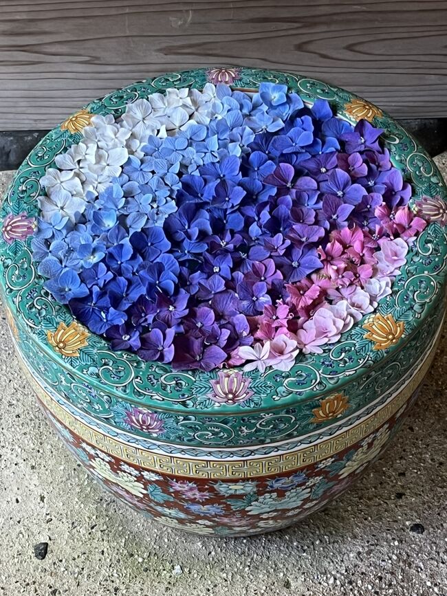 あじさい寺『明月院』、鶴岡八幡宮でお参りして、古民家イタリアン『かど屋』でランチ後、ずっと行ってみたかった一条恵観山荘(いちじょうえかんさんそう)へ紫陽花散策に行ってきました。<br /><br />紫陽花を見に鎌倉のあじさい寺『明月院』へ<br />https://4travel.jp/travelogue/11909835