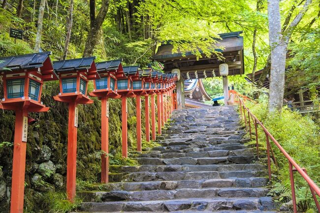 今回の旅行に当たっては、息子夫婦に京都のお勧めを聞いていました。彼らは、私たちが2年前の京都旅行で主だった場所を巡ったのを知っているので、まだ行ったことがない鞍馬寺から貴船神社のコースを勧めてくれました。インターネットで調べてみると結構キツイ山越えのコースですが、確かになかなか良さそうです。これに加え前回は定休日だった「京都御所」、そして、中学の修学旅行以来の「二条城」と「平安神宮」を巡りました。また、最終日には「三十三間堂」や「豊国神社」などを見学しました。<br /> まず、この「京都編①」では、鞍馬寺~貴船神社を巡った様子をお届けします。