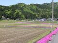 G.W気ままにドライブ♪【道の駅 和・おおい町情報交差点 ぽーたる・御食国 若狭おばま食文化館】