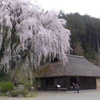埼玉郊外の旅。アウトレットと高麗神社に寄ってから越生温泉宿泊。とろとろのお湯がすばらしい。