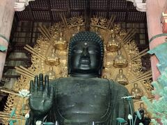 近鉄週末フリーパス、1日余ったので奈良公園へ